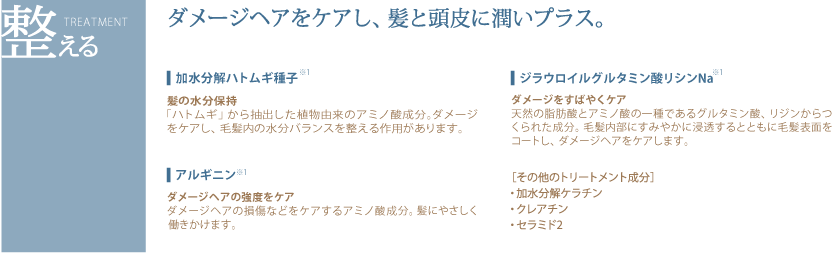 ダメージヘアをケアし、髪と頭皮に潤いプラス。