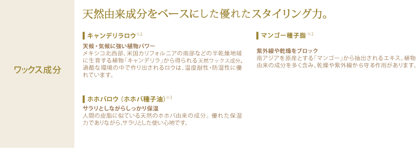 天然由来成分をベースにした優れたスタイリング力