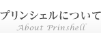 プリンシェルについて　about Prinshell