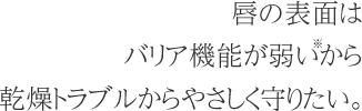 唇の表面はバリア機能が弱いから乾燥トラブルからやさしく守りたい。