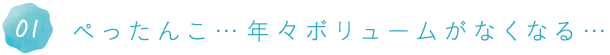 ぺったんこ…年々ボリュームがなくなる…