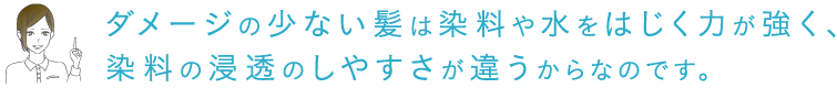 ダメージの少ない髪は染料や水をはじく力が強く、 染料の浸透のしやすさが違うからなのです。