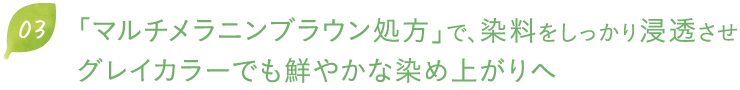 染料をしっかり浸透させ染め上げる「マルチメラニンブラウン処方」で、鮮やかな色味に