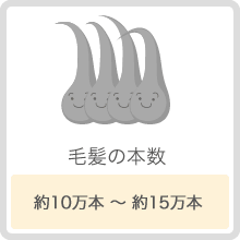 毛髪の本数 約10万本〜約15万本