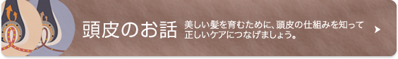 頭皮のお話 美しい髪を育むために、頭皮の仕組みを知って正しいケアにつなげましょう。