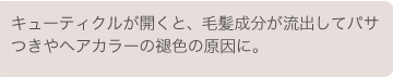 キューティクルが開くと、毛髪成分が流出してパサつきやヘアカラーの褪色の原因に。