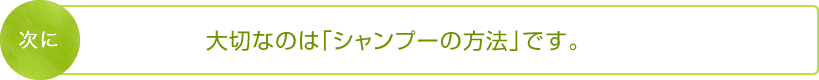 次に大切なのは「シャンプーの方法」です。