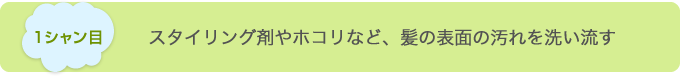 1シャン目 スタイリング剤やホコリなど、髪の表面の汚れを洗い流す