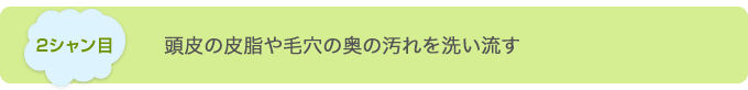 2シャン目 頭皮の皮脂や毛穴の奥の汚れを洗い流す