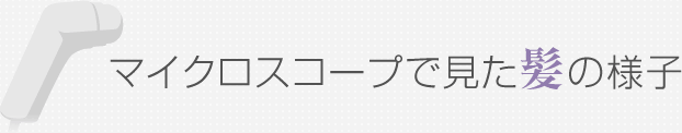 マイクロスコープで見た髪の様子