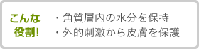 こんな役割！・角質層内の水分を保持・外的刺激から皮膚を保護