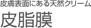 皮膚表面にある天然クリーム 皮脂膜