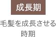 「成長期」毛髪を成長させる時期