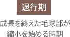 「退行期」成長を終えた毛球部が縮小を始める時期