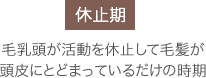 「休止期」毛乳頭が活動を休止して毛髪が頭皮にとどまっているだけの時期