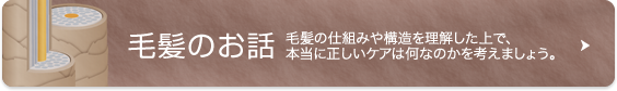 毛髪のお話 毛髪の仕組みや構造を理解した上で、本当に正しいケアは何なのかを考えましょう。