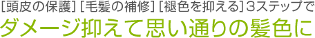 ［頭皮の保護］［毛髪の補修］［褪色を抑える］3ステップでダメージ抑えて思い通りの髪色に