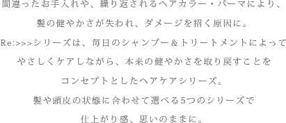 髪や頭皮の状態に合わせて選べる5つのシリーズで仕上がり感、思いのままに。