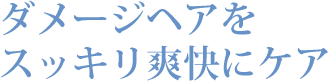 ダメージヘアをスッキリ爽快にケア